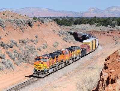 BNSF 4769 at Cont Divideon 18 April 2008.JPG